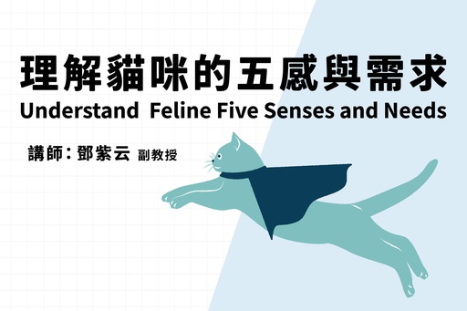貓的五感和需求