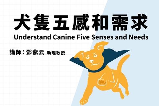 犬隻五感和需求