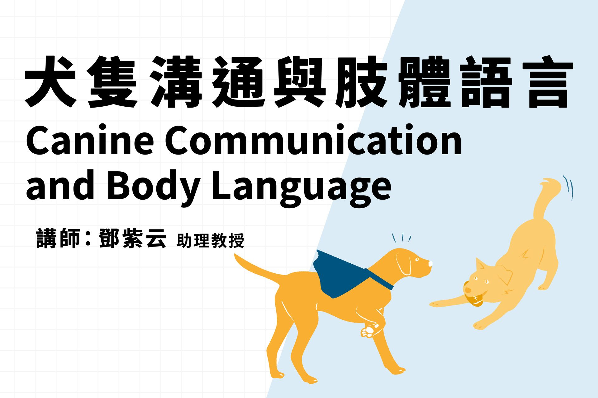 犬隻溝通與肢體語言