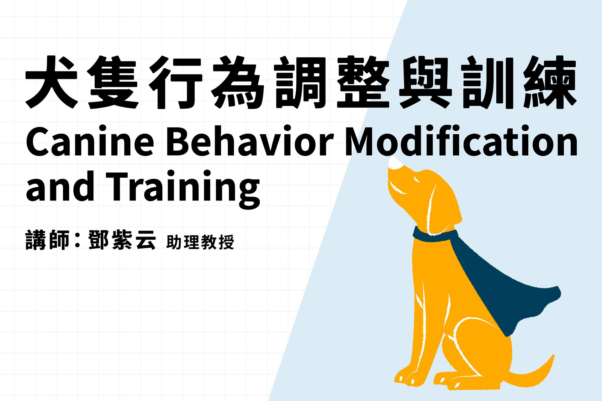 犬隻行為調整與訓練